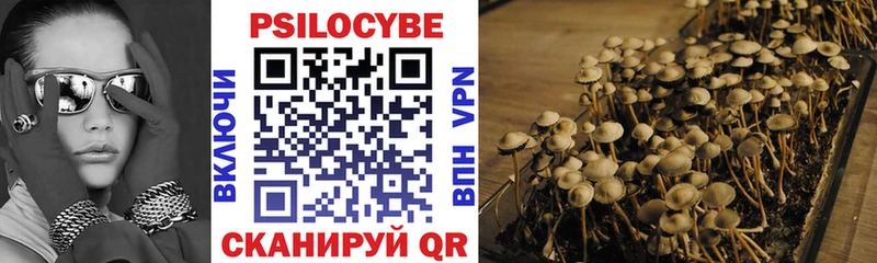Галлюциногенные грибы Cubensis  Адыгейск 